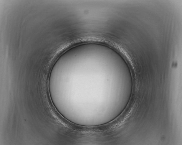 X0000091560625200708171102