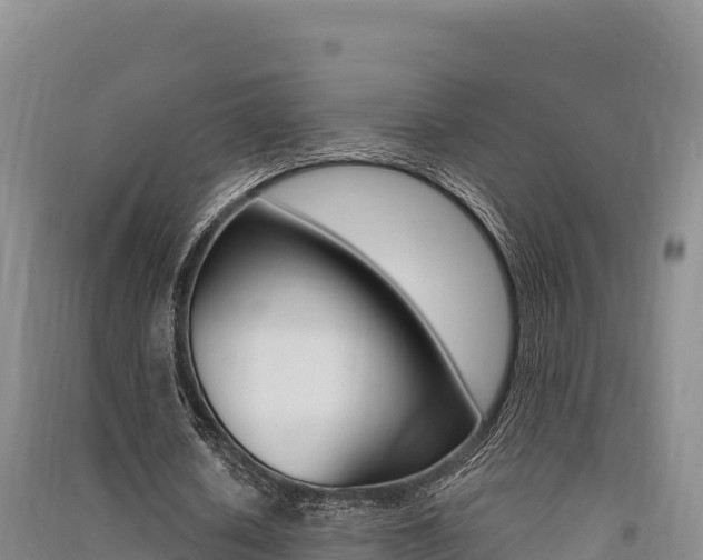 X0000091560626200708171102
