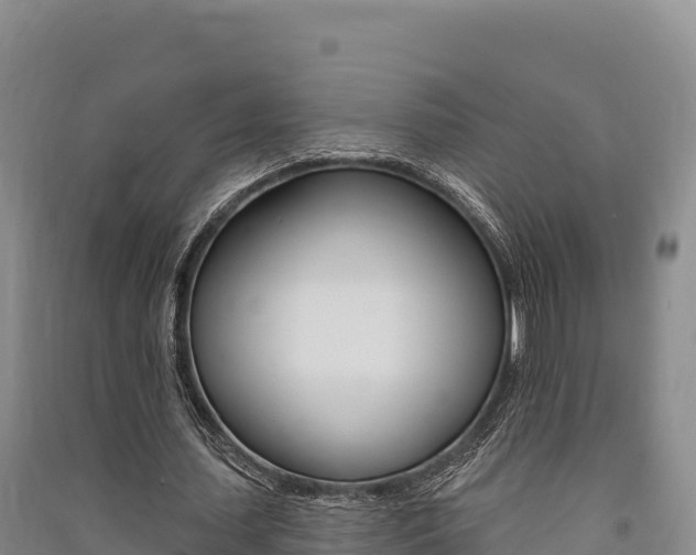 X0000091560627200708171102