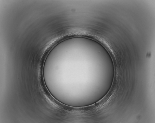 X0000091560629200708171102