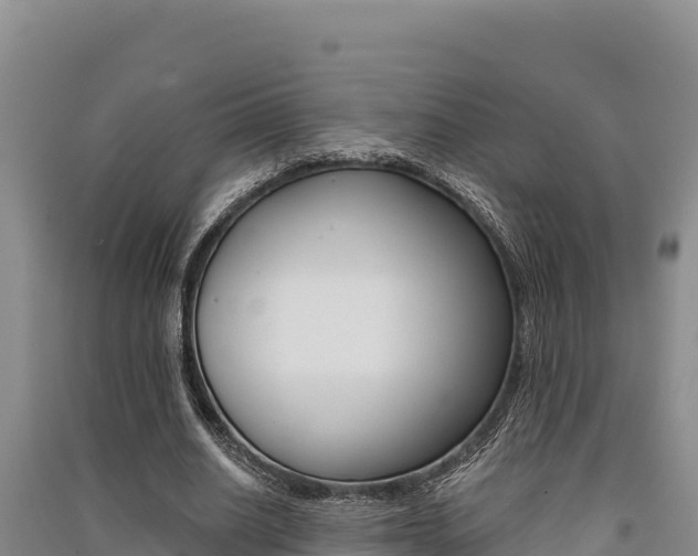 X0000091560630200708171102