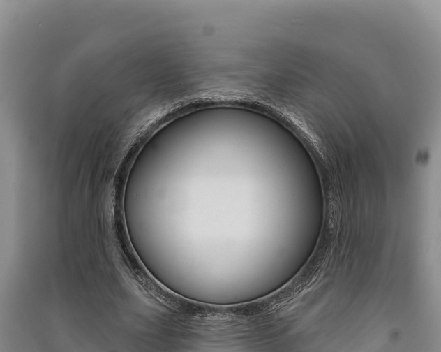 X0000091560631200708171102