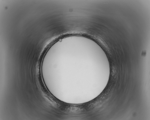 X0000091560632200708171102