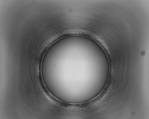 X0000091560633200708171102