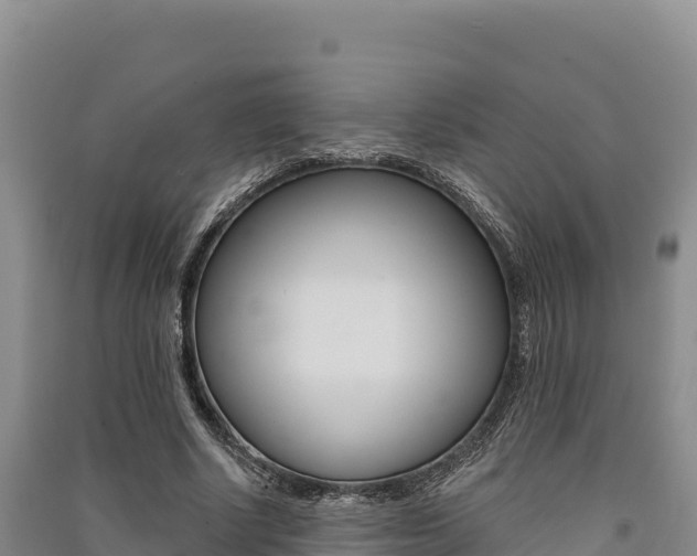 X0000091560634200708171102