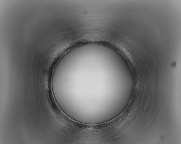 X0000091560635200708171102
