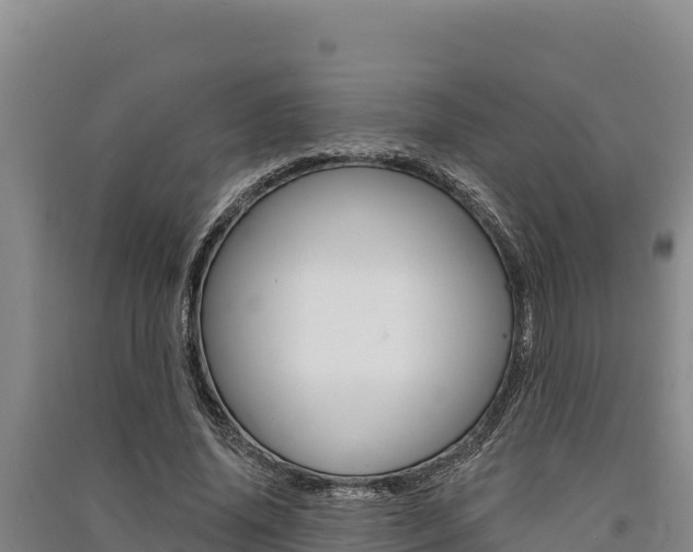 X0000091560636200708171102