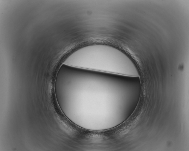 X0000091560637200708171102