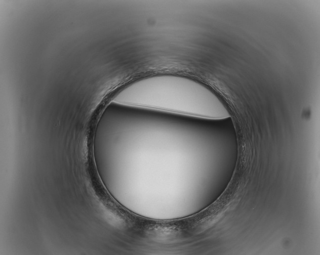 X0000091560638200708171102