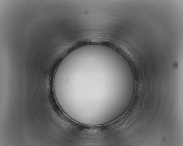 X0000091560639200708171102