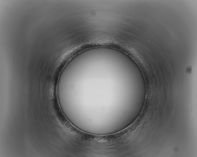 X0000091560640200708171102