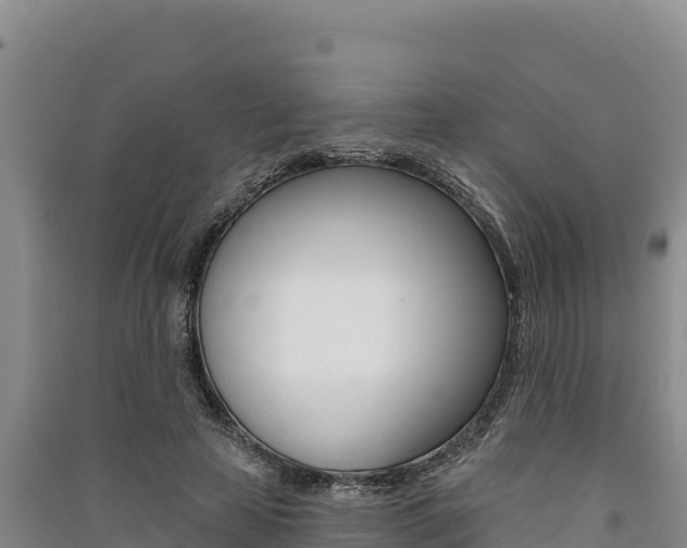 X0000091560641200708171102