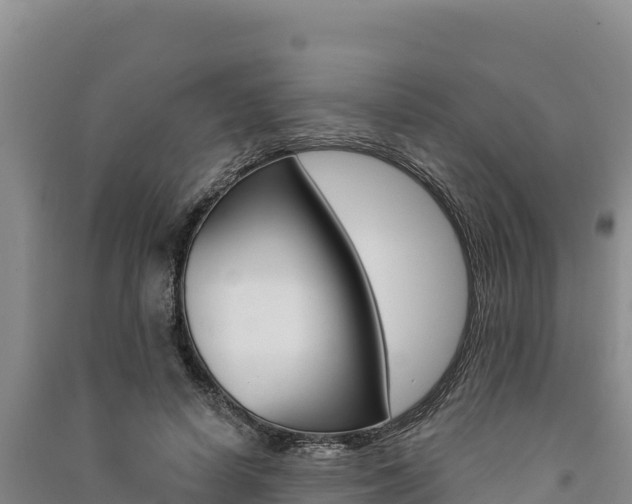 X0000091560642200708171102