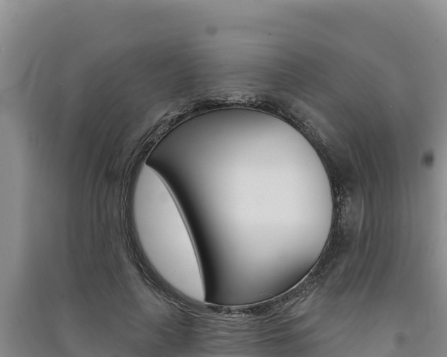 X0000091560643200708171102