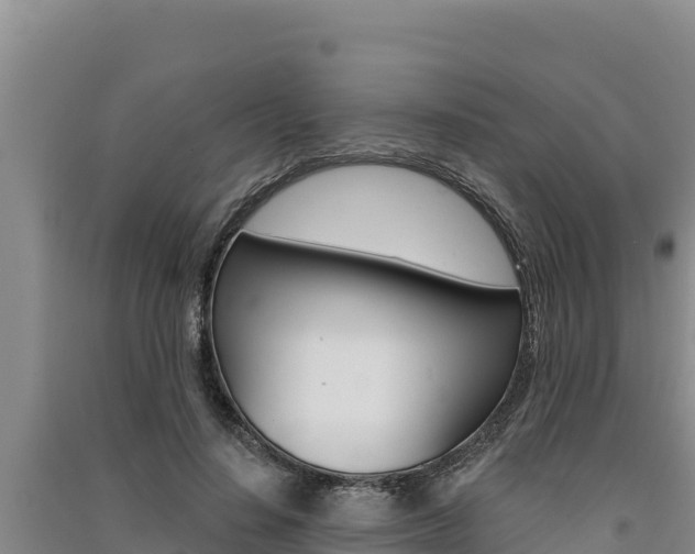 X0000091560644200708171102