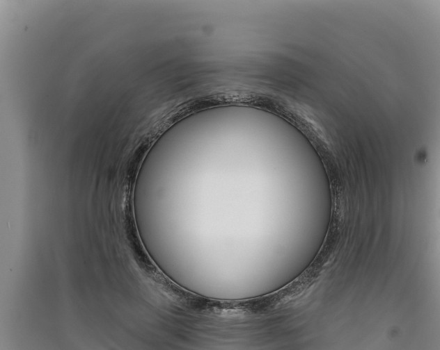 X0000091560645200708171102