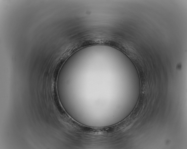 X0000091560646200708171102