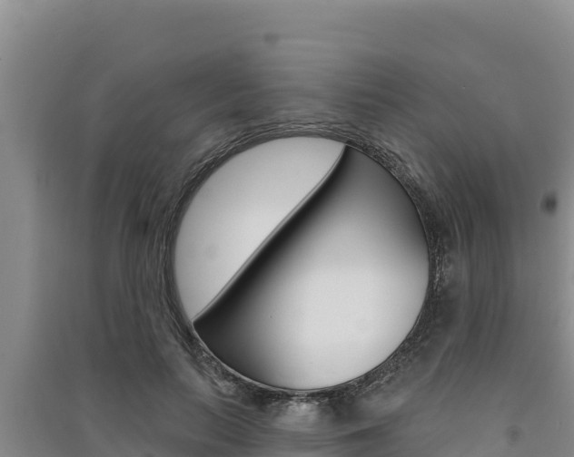 X0000091560647200708171102
