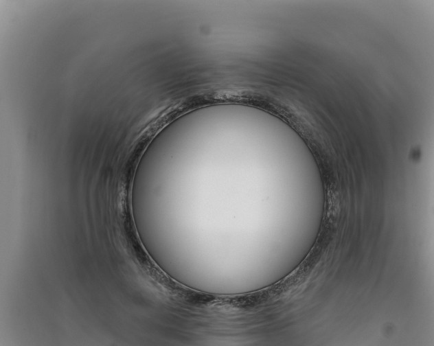 X0000091560648200708171102