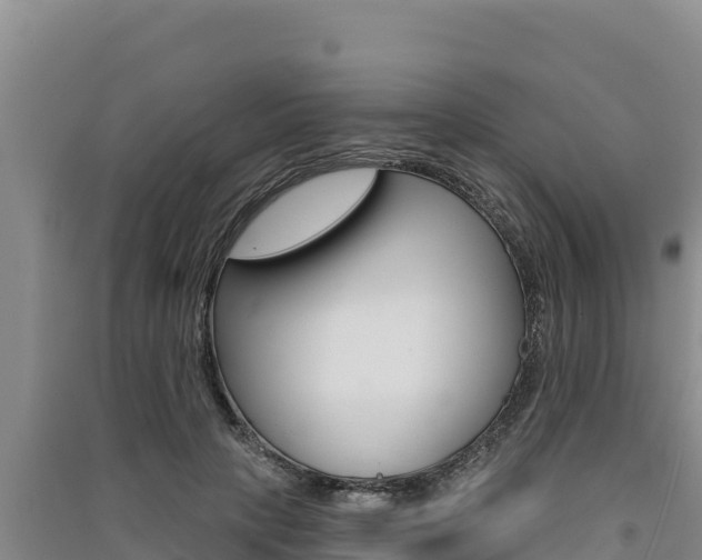 X0000091560649200708171102