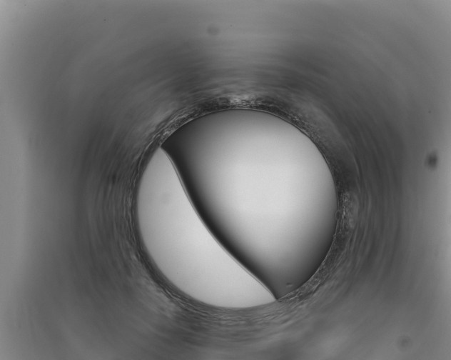 X0000091560650200708171102