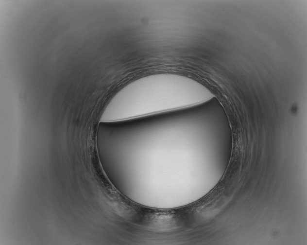 X0000091560651200708171102