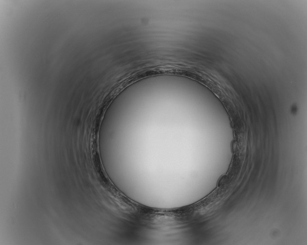 X0000091560653200708171102