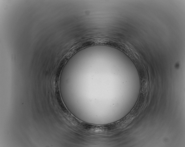 X0000091560655200708171102
