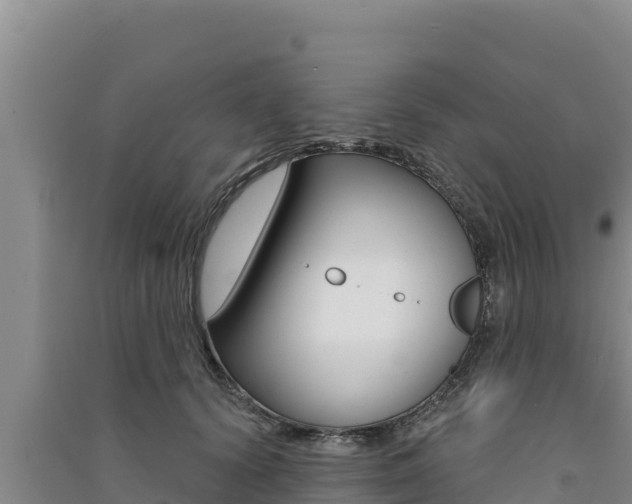 X0000091560656200708171102