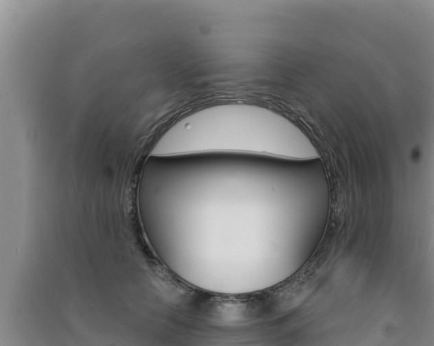 X0000091560658200708171102
