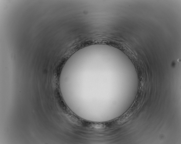 X0000091560659200708171102