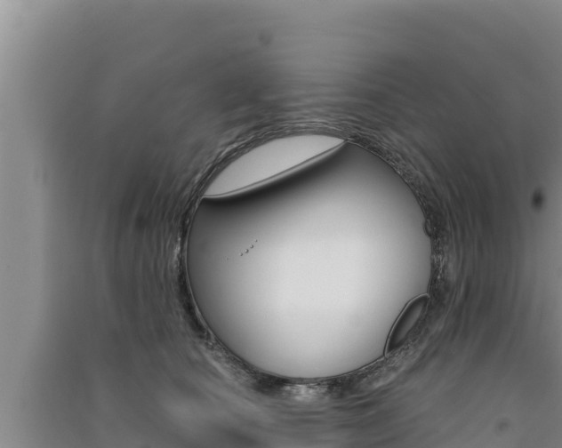 X0000091560660200708171102
