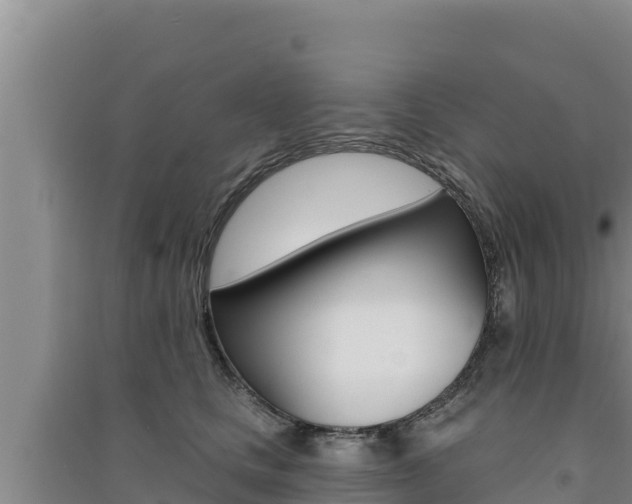 X0000091560661200708171102