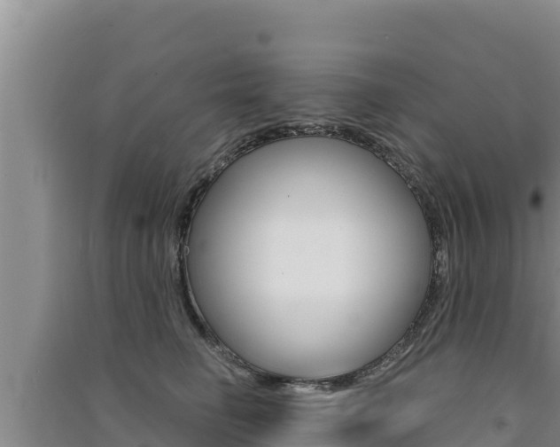 X0000091560662200708171102