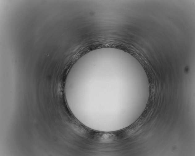 X0000091560663200708171102