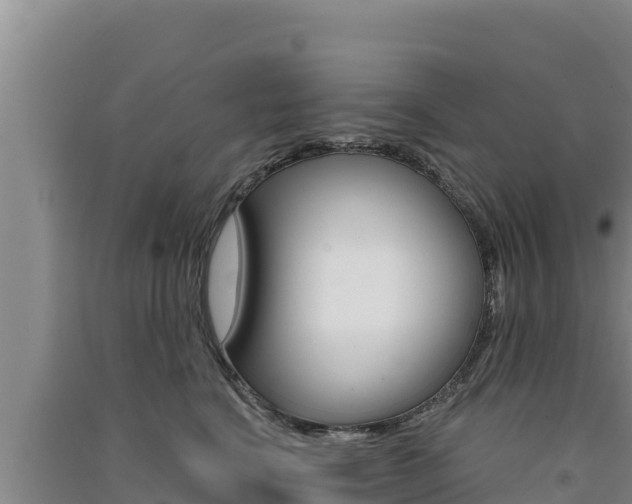 X0000091560664200708171102