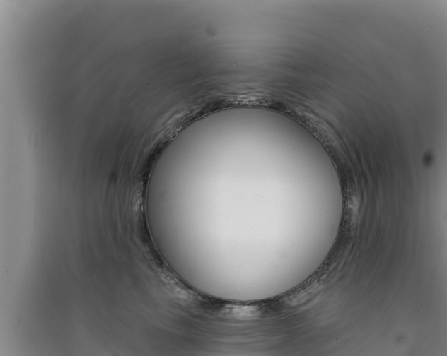 X0000091560665200708171102