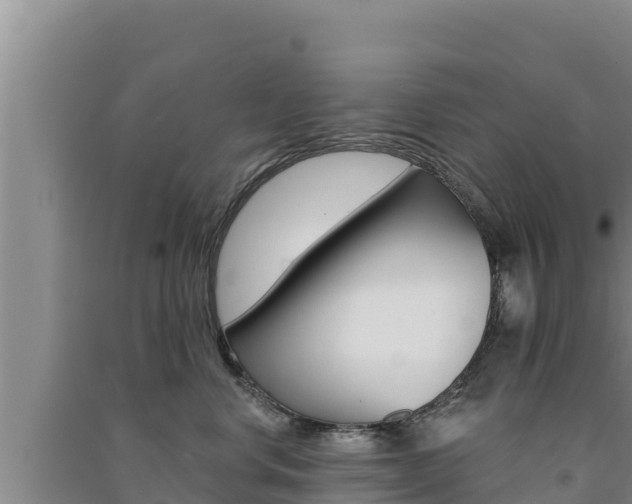 X0000091560668200708171102