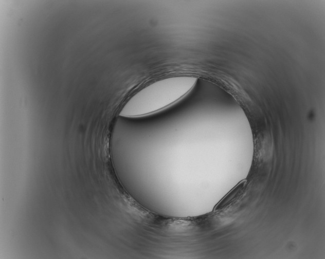 X0000091560669200708171102