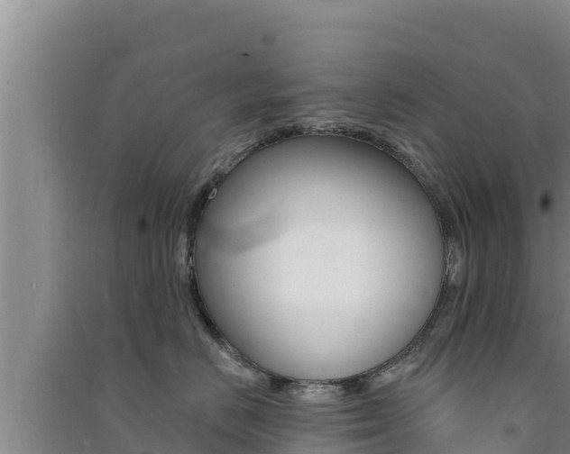 X0000091560670200708171102