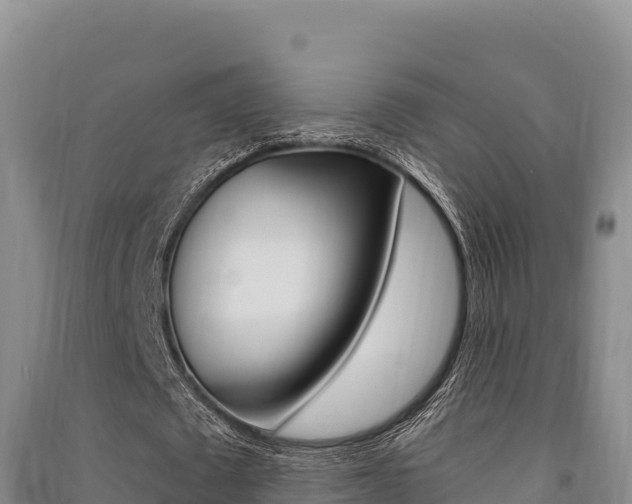 X0000091560673200708171102