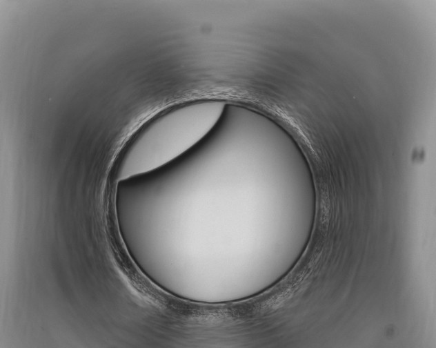 X0000091560674200708171102