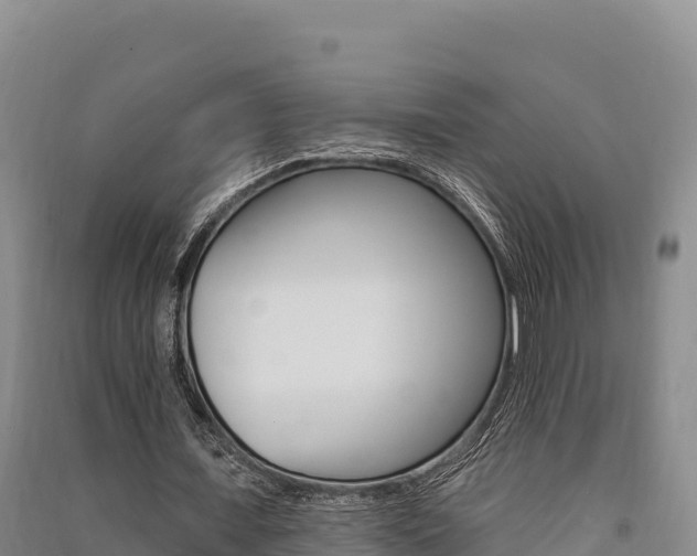 X0000091560675200708171102