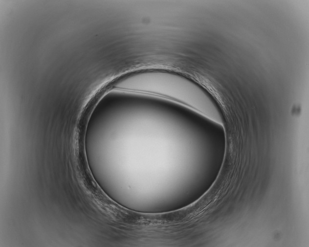 X0000091560676200708171102
