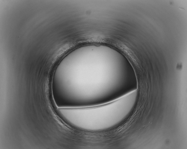 X0000091560677200708171102