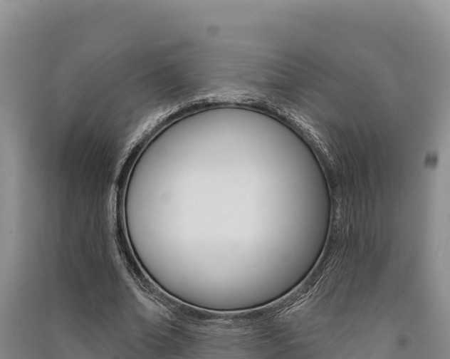 X0000091560678200708171102