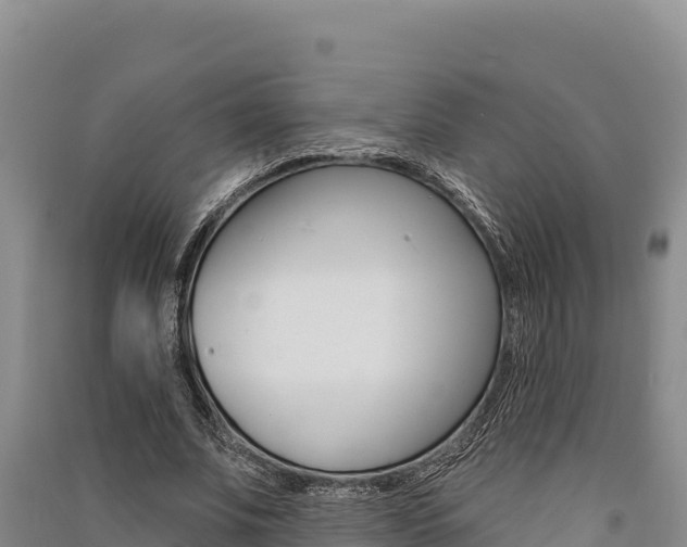 X0000091560679200708171102