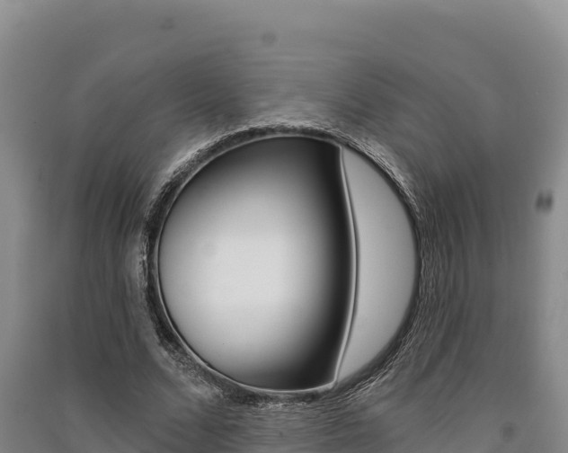 X0000091560680200708171102