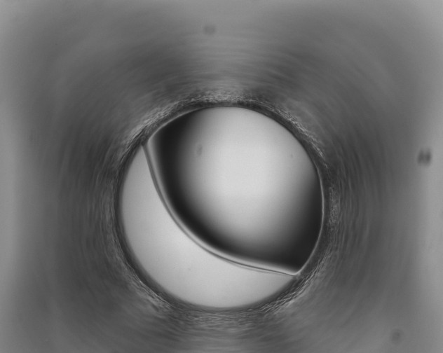X0000091560681200708171102
