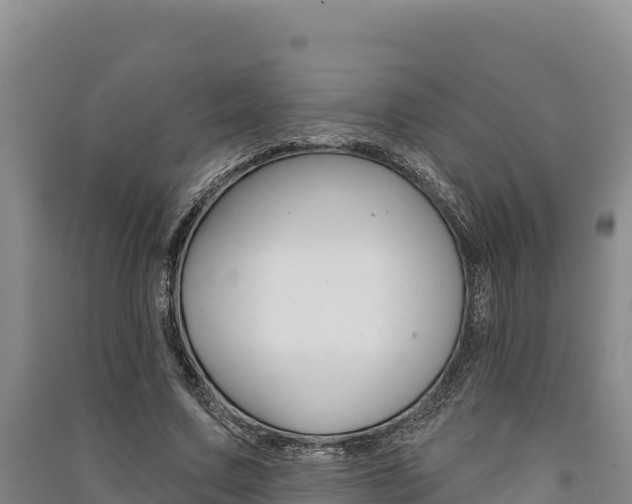 X0000091560683200708171102